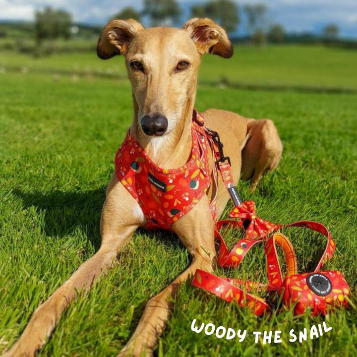 dog in woody the snail pet harness collection