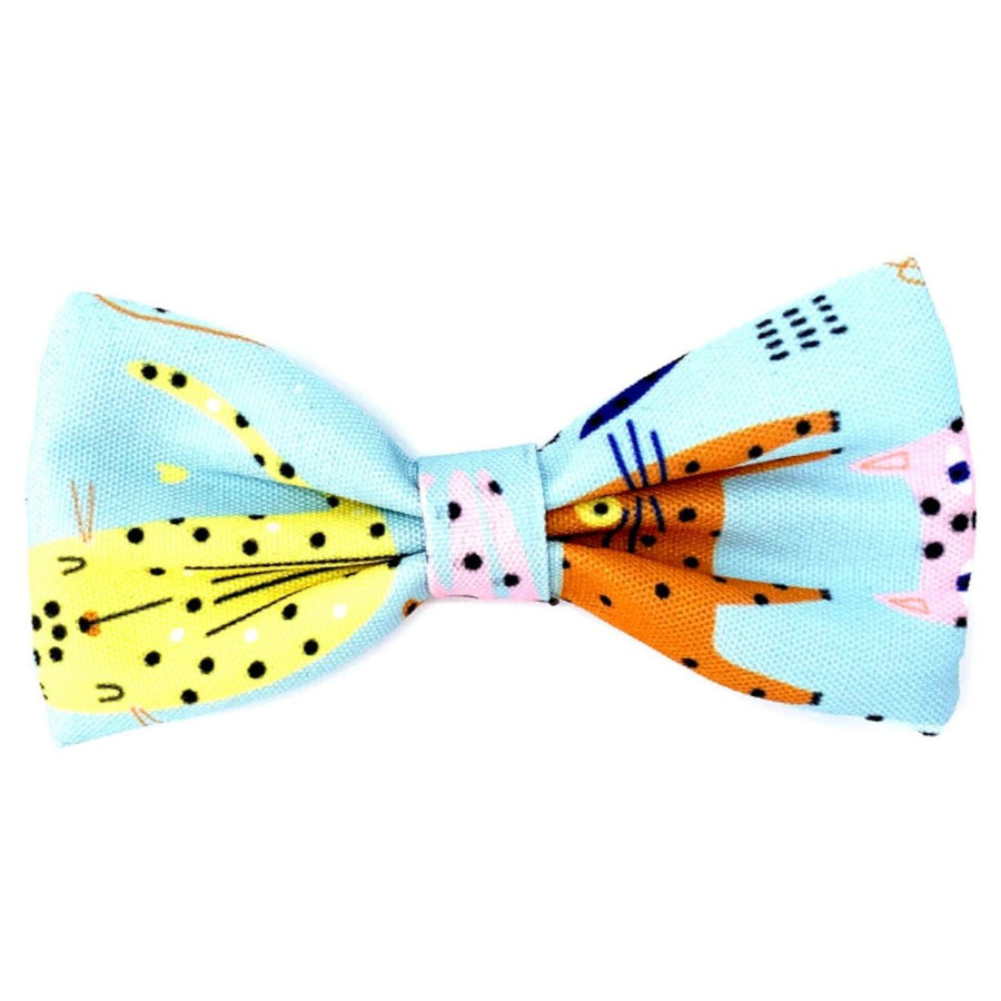 Cat Collar and Bow - Purrfect Catitude - Blue - Pipkin and Bella