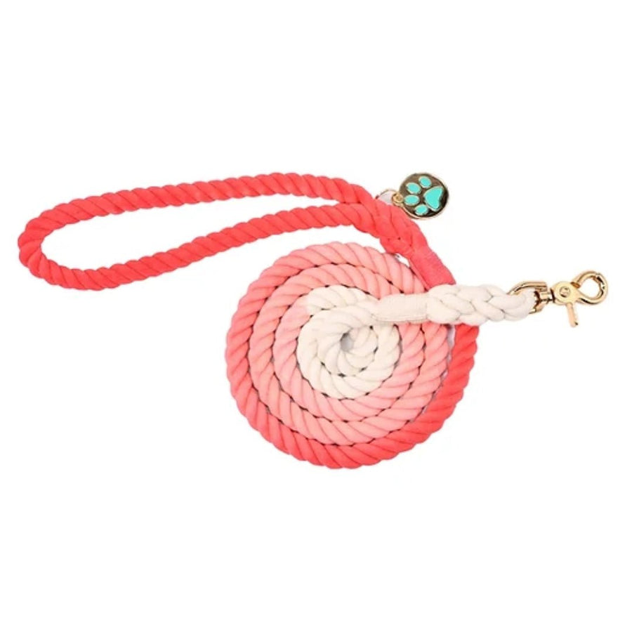 Ombre Rope Lead - Coral Glow - Pipkin and Bella