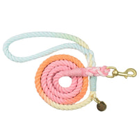 Ombre Rope Lead - Rainbow - Pipkin and Bella