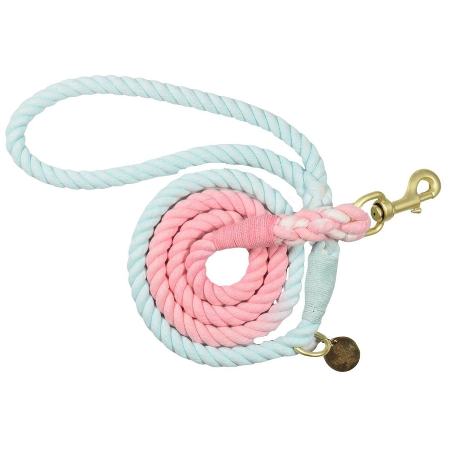 Ombre Rope Lead - Sweet Dreams - Pipkin and Bella