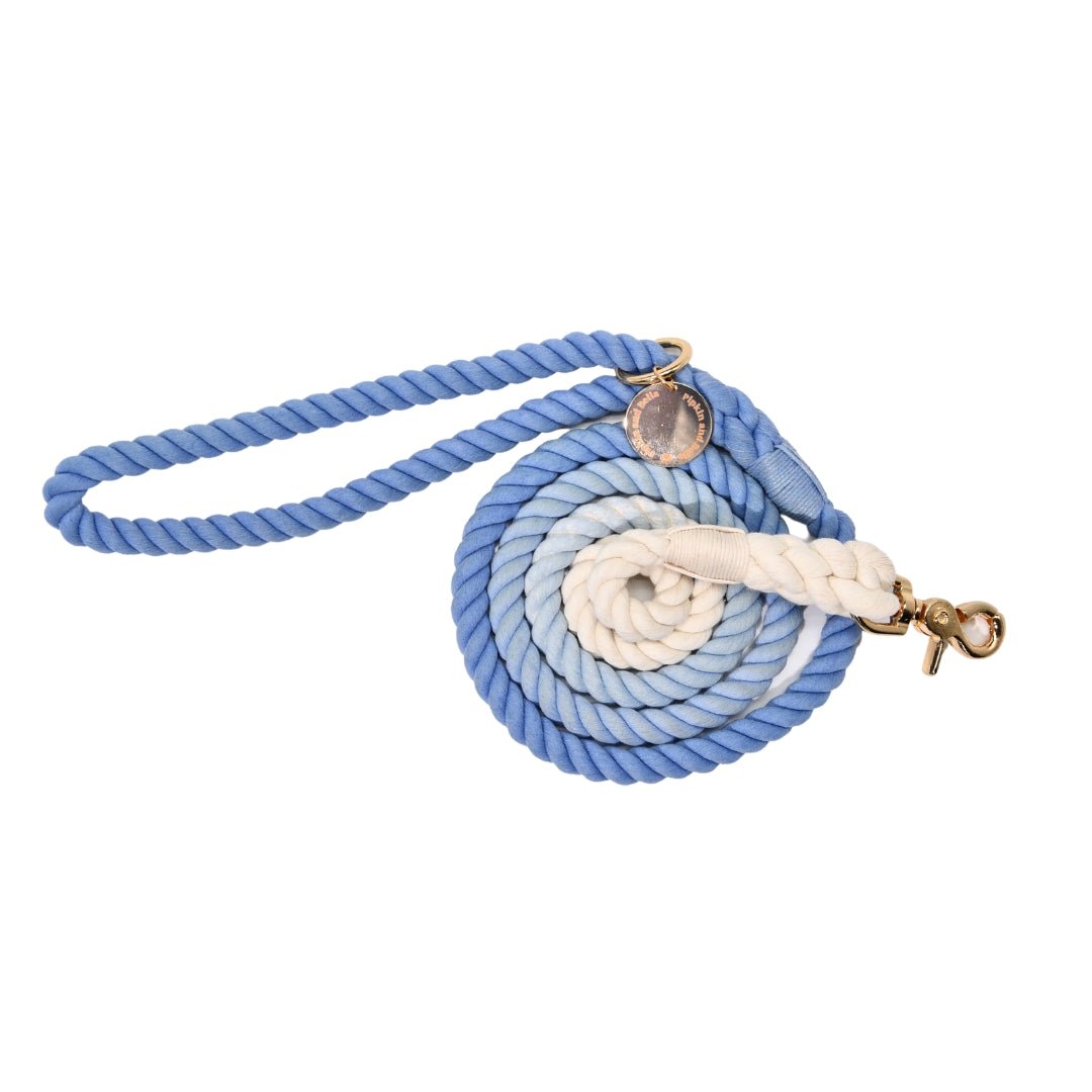 Ombre Rope Lead - Tranquil Sky - Pipkin and Bella